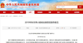 全國農業技術推廣服務中心發布2019年秋冬季小麥主產區重點病蟲害防控指南 提前預防，科技助力軟件開發