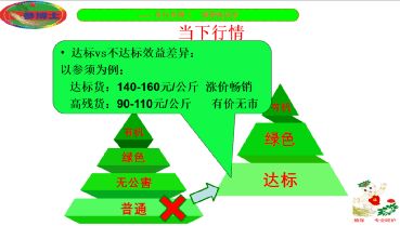 撫松縣人參產(chǎn)業(yè)重大技術(shù)協(xié)同推廣項(xiàng)目培訓(xùn)會(huì)開講 科技賦能，助力人參產(chǎn)業(yè)高質(zhì)量發(fā)展